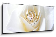 Obraz s hodinami 1D panorama - 120 x 50 cm F_AB11152099 - Schneeweisschen oder die wei e Rose