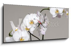 Obraz s hodinami 1D - 120 x 50 cm F_AB113446694 - White Phalaenopsis orchid - Bílá orchidej Phalaenopsis