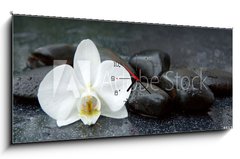 Obraz s hodinami 1D panorama - 120 x 50 cm F_AB113515481 - White orchid and black stones close up.