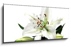 Obraz s hodinami 1D panorama - 120 x 50 cm F_AB1162120 - lilly wide