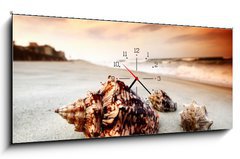 Obraz s hodinami 1D panorama - 120 x 50 cm F_AB11643638 - shell - skopka