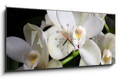 Obraz s hodinami   Orchid flowers over black (Cymbidium sp), 120 x 50 cm