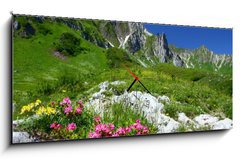 Obraz s hodinami 1D panorama - 120 x 50 cm F_AB11754961 - spring in the alps - jaro v Alpách