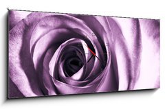 Obraz s hodinami   Purple rose, 120 x 50 cm