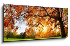 Obraz s hodinami 1D panorama - 120 x 50 cm F_AB119517756 - Schne Eiche auf Wiese bei untergehender Sonne im Herbst