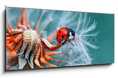 Obraz s hodinami 1D panorama - 120 x 50 cm F_AB121417091 - freedom