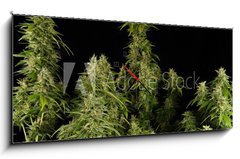 Obraz s hodinami 1D panorama - 120 x 50 cm F_AB12303804 - Ganja11