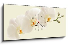 Obraz s hodinami 1D - 120 x 50 cm F_AB123330154 - Large white Orchid flowers in a panoramic image - Velké bílé květy orchideje v panoramatickém obrazu