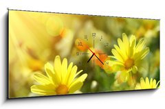 Obraz s hodinami 1D panorama - 120 x 50 cm F_AB12348665 - Closeup of yellow daisies with warm rays