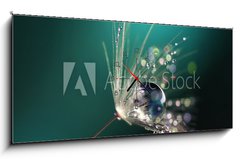 Obraz s hodinami 1D panorama - 120 x 50 cm F_AB123550067 - Beautiful dew drops on a dandelion seed macro.  Beautiful blue background. Large golden dew drops on a parachute dandelion. Soft dreamy tender artistic image form.