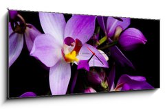 Obraz s hodinami 1D panorama - 120 x 50 cm F_AB1241133 - orchids