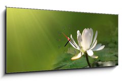 Obraz s hodinami 1D panorama - 120 x 50 cm F_AB12460869 - Lily flower on a green background