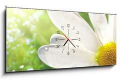 Obraz s hodinami 1D panorama - 120 x 50 cm F_AB12750735 - Wild daisy
