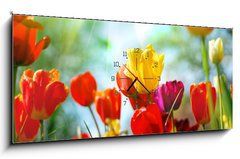 Obraz s hodinami 1D panorama - 120 x 50 cm F_AB12856836 - Tulips - Tulipány