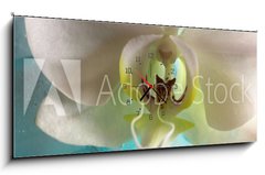 Obraz s hodinami 1D - 120 x 50 cm F_AB131453203 - Orchid - Orchidej