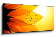 Obraz s hodinami   Sunflower at sunset, closeup., 120 x 50 cm