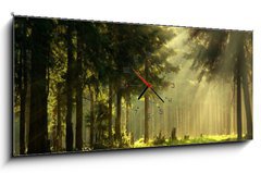 Obraz s hodinami   Morning in a spring forest, 120 x 50 cm