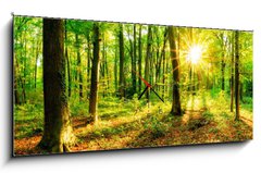 Obraz s hodinami   Wald im Frhling mit Sonne, 120 x 50 cm