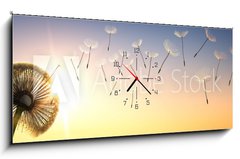 Obraz s hodinami 1D panorama - 120 x 50 cm F_AB137387337 - Pusteblume im Sonnenuntergang 1