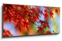 Obraz s hodinami 1D panorama - 120 x 50 cm F_AB138623 - japanese red maple in autumn