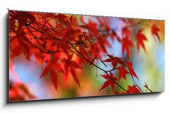 Obraz s hodinami 1D panorama - 120 x 50 cm F_AB138623 - japanese red maple in autumn