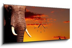 Obraz s hodinami 1D panorama - 120 x 50 cm F_AB14132001 - African nature concept