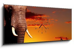 Obraz s hodinami 1D panorama - 120 x 50 cm F_AB14132001 - African nature concept - Africký přírodní koncept