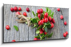 Obraz s hodinami 1D panorama - 120 x 50 cm F_AB141541258 - Bunch of red cowberry