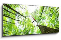 Obraz s hodinami   forest, 120 x 50 cm