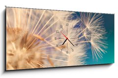 Obraz s hodinami 1D panorama - 120 x 50 cm F_AB143134951 - white dandelion flower with seeds in springtime in blue turquoise abstract backgrouds