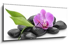 Obraz s hodinami 1D panorama - 120 x 50 cm F_AB144086994 - zen basalt stones ,orchid and bamboo