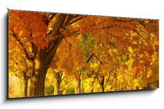 Obraz s hodinami 1D panorama - 120 x 50 cm F_AB1452913 - autumn scene