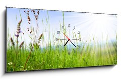 Obraz s hodinami 1D panorama - 120 x 50 cm F_AB14694795 - Grass - Tráva