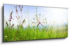 Obraz s hodinami 1D panorama - 120 x 50 cm F_AB14694795 - Grass - Trva