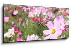 Obraz s hodinami 1D panorama - 120 x 50 cm F_AB14706951 - cosmos_closeup