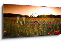 Obraz s hodinami 1D panorama - 120 x 50 cm F_AB14724236 - poppies field