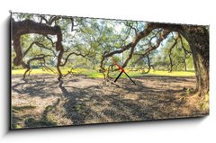 Obraz s hodinami 1D panorama - 120 x 50 cm F_AB147965977 - Panoramic view of Oak Alley Plantation, Louisiana