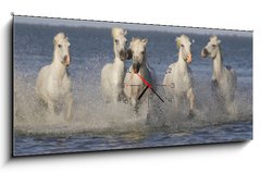 Obraz s hodinami 1D panorama - 120 x 50 cm F_AB14879653 - Chevaux de Camargue