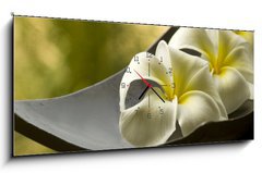 Obraz s hodinami   special spa flowers, 120 x 50 cm