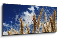 Obraz s hodinami 1D panorama - 120 x 50 cm F_AB15194580 - Wheat - Pšenice