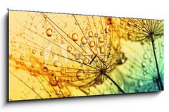 Obraz s hodinami 1D panorama - 120 x 50 cm F_AB153111950 -  dandelion flower background