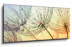 Obraz s hodinami    dandelion flower background, 120 x 50 cm