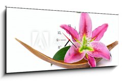 Obraz s hodinami 1D panorama - 120 x 50 cm F_AB15641215 - Beautiful lily flower