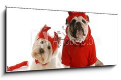 Obraz s hodinami 1D panorama - 120 x 50 cm F_AB15642685 - two devils - bulldog and west highland white terrier - dva bli