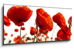 Obraz s hodinami 1D panorama - 120 x 50 cm F_AB15661421 - Red poppies