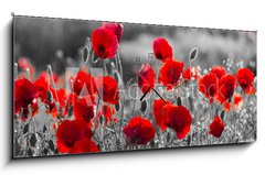 Obraz s hodinami 1D panorama - 120 x 50 cm F_AB158374540 - red poppies, black and white