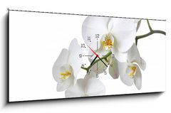 Obraz s hodinami   Orchidee, 120 x 50 cm