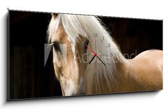 Obraz s hodinami   Haflinger Portrait, 120 x 50 cm