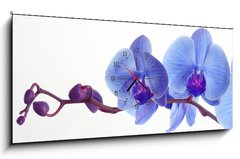 Obraz s hodinami 1D panorama - 120 x 50 cm F_AB15948951 - Blue orchid