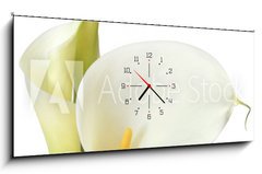 Obraz s hodinami 1D panorama - 120 x 50 cm F_AB16158957 - White Calla Lilies